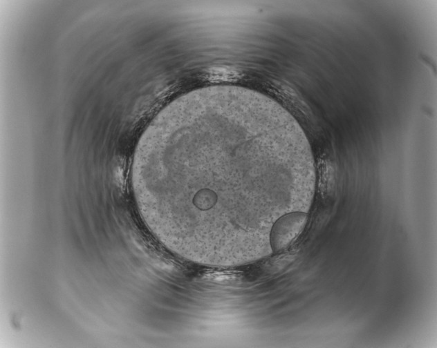 X0000102540655200808291843