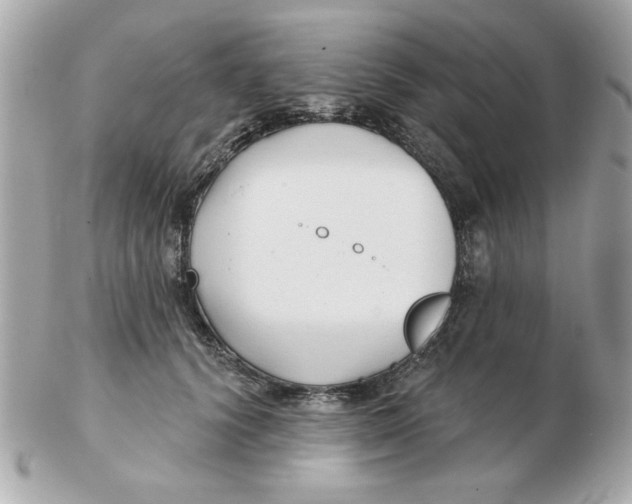 X0000102540656200808291843