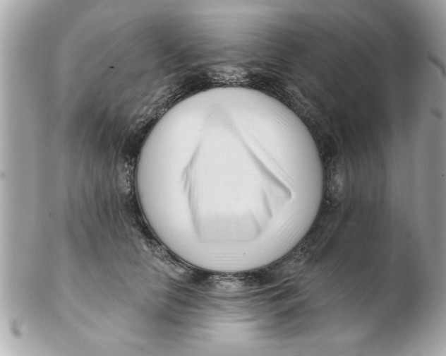 X0000102540658200808291843