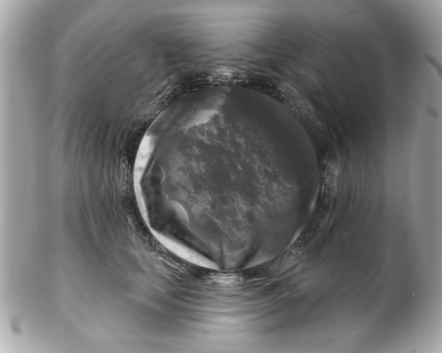 X0000102540659200808291843