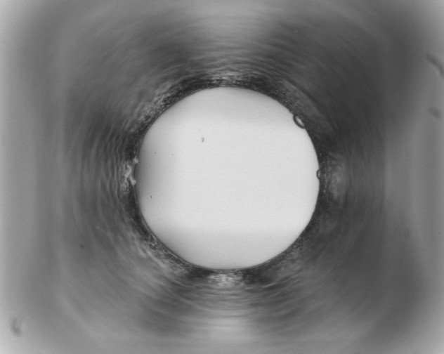 X0000102540660200808291843