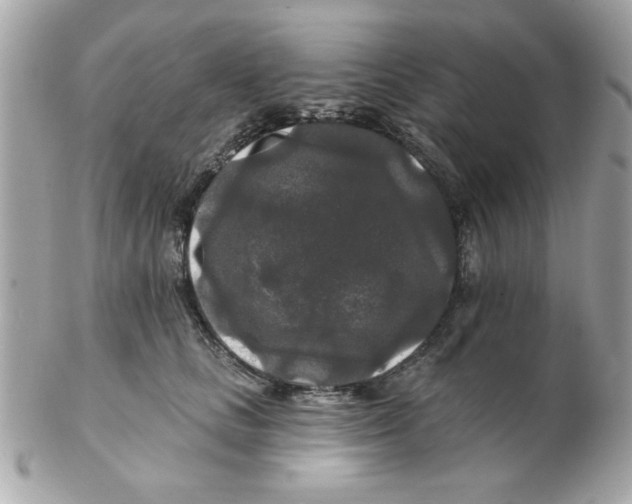 X0000102540661200808291843