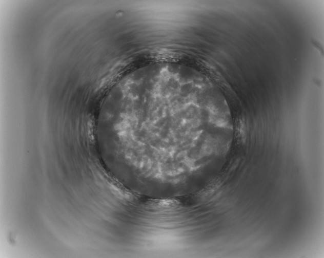 X0000102540663200808291843