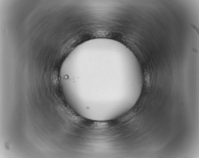 X0000102540665200808291843