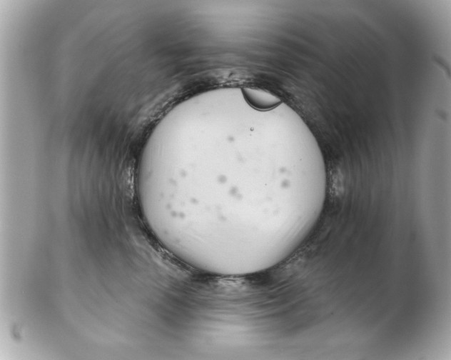 X0000102540666200808291843