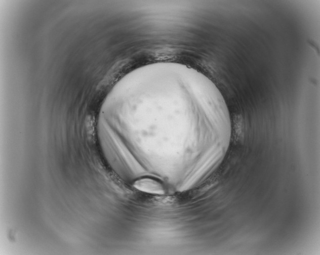 X0000102540667200808291843