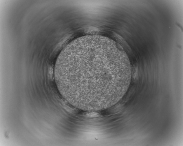 X0000102540669200808291843