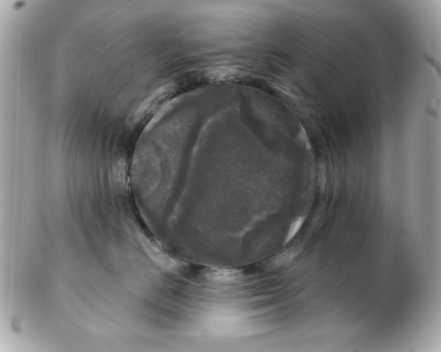 X0000102540670200808291843