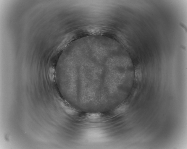 X0000102540671200808291843