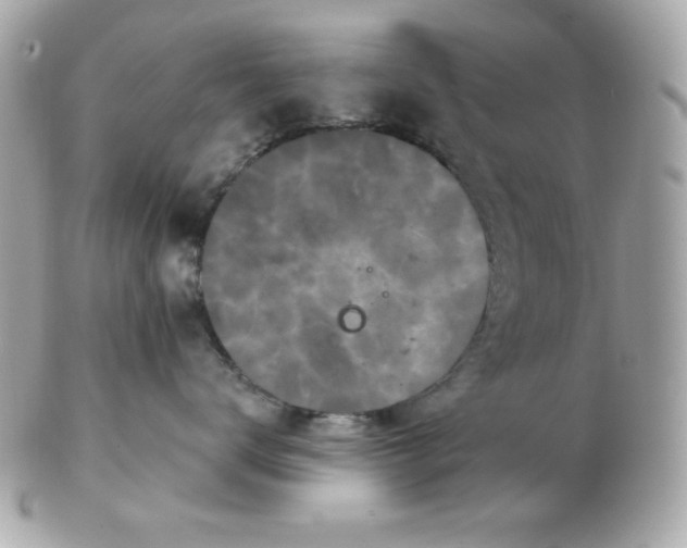 X0000102540672200808291843