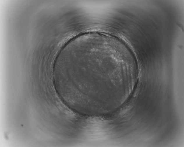 X0000102540673200808291842