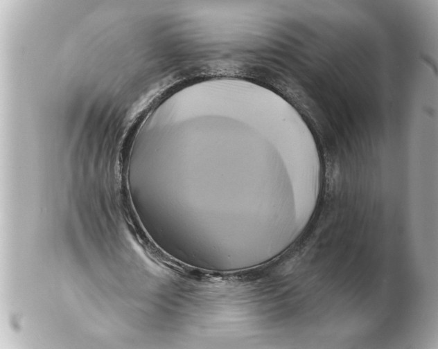 X0000102540674200808291842