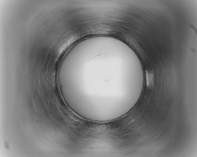 X0000102540675200808291842