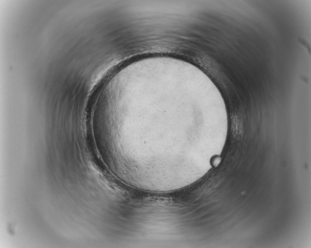 X0000102540676200808291842