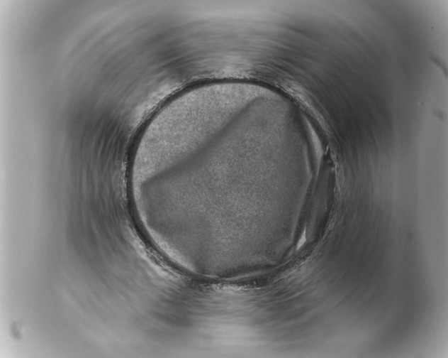 X0000102540677200808291842