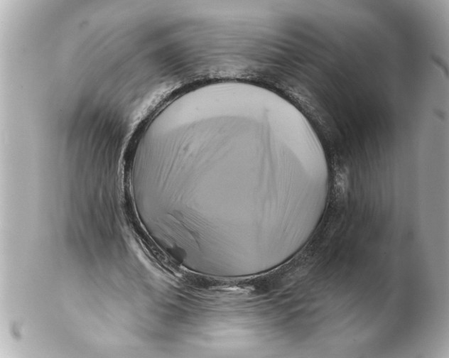 X0000102540678200808291842