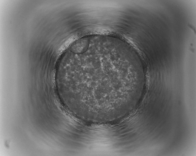 X0000102540679200808291842