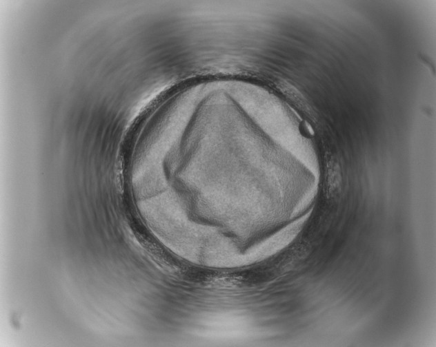 X0000102540680200808291842