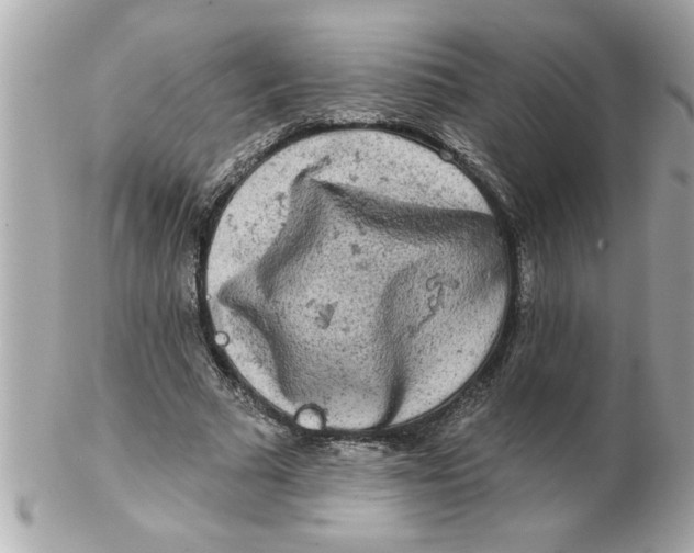 X0000102540681200808291842