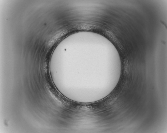 X0000102540683200808291842