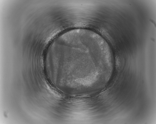 X0000102540684200808291842