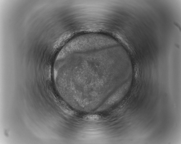 X0000102540685200808291842