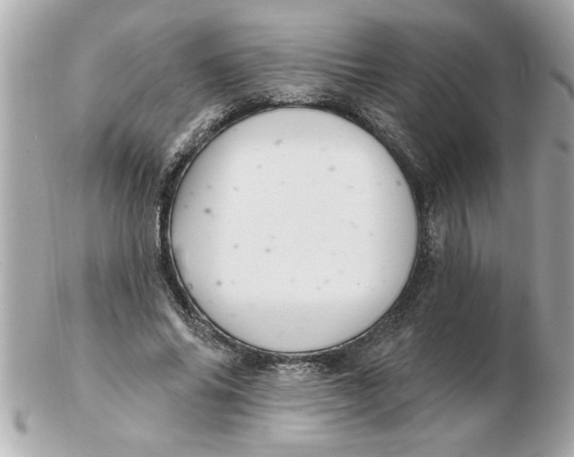 X0000102540686200808291842