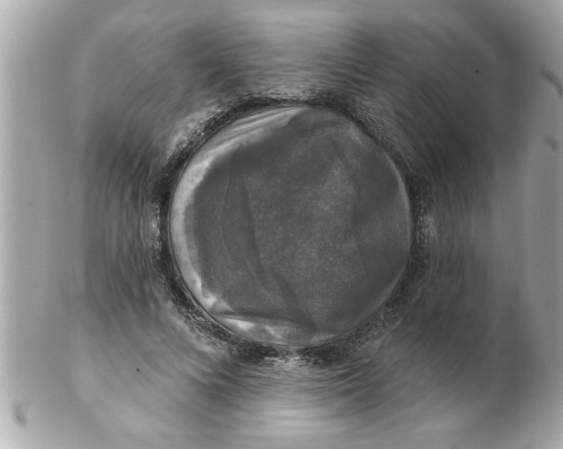 X0000102540688200808291842