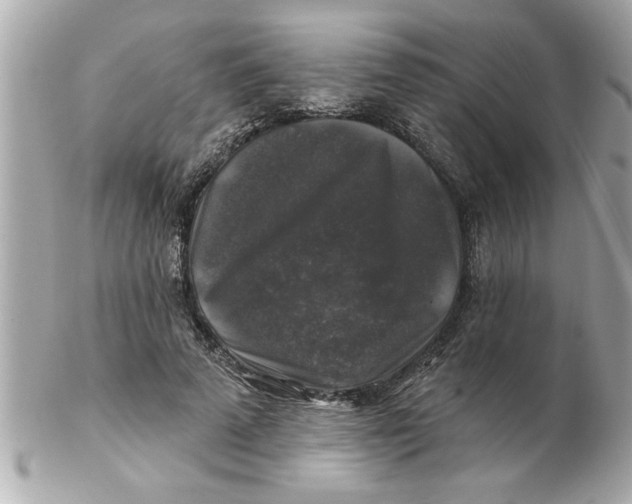 X0000102540689200808291842