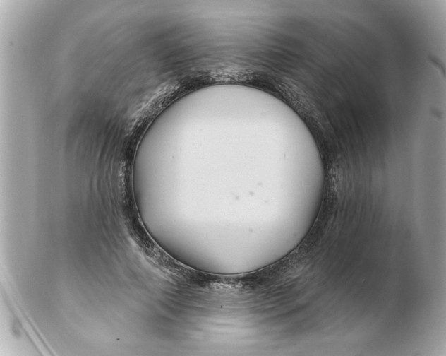 X0000102540690200808291842