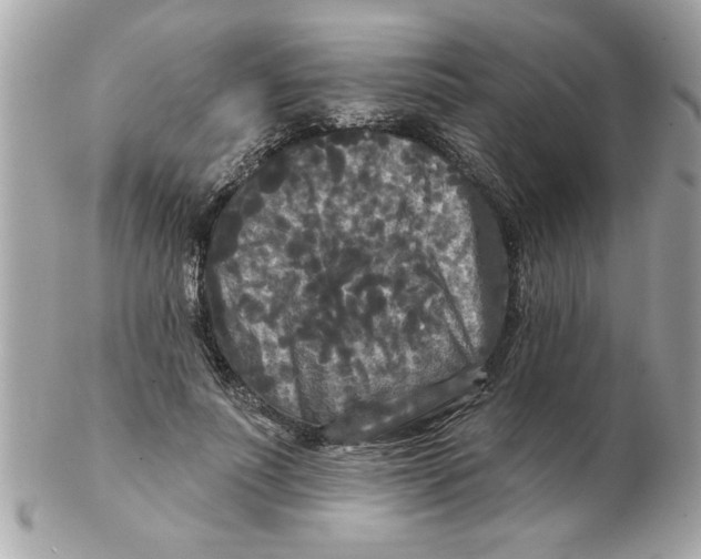 X0000102540691200808291842