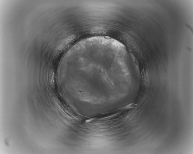 X0000102540692200808291842