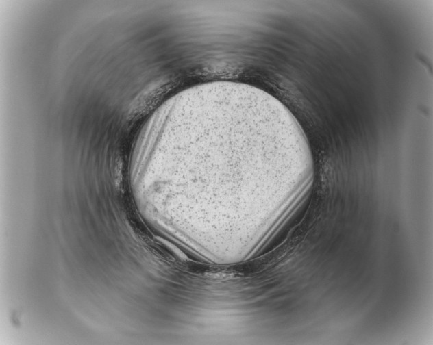 X0000102540693200808291842