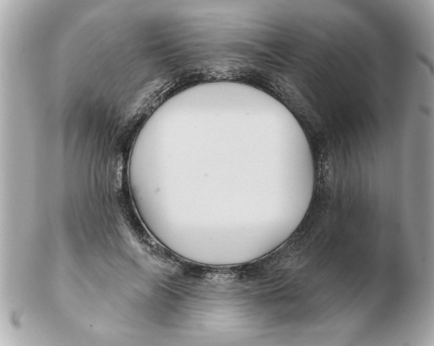 X0000102540694200808291842