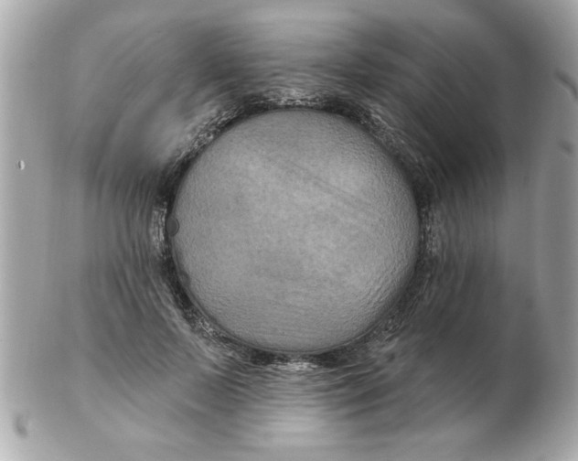 X0000102540695200808291842