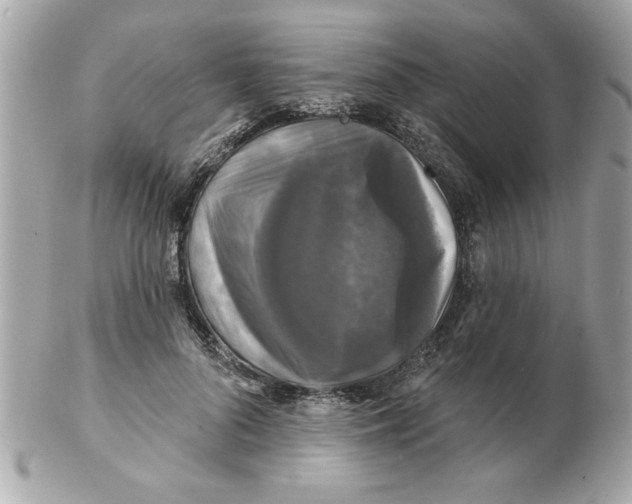 X0000102540696200808291842