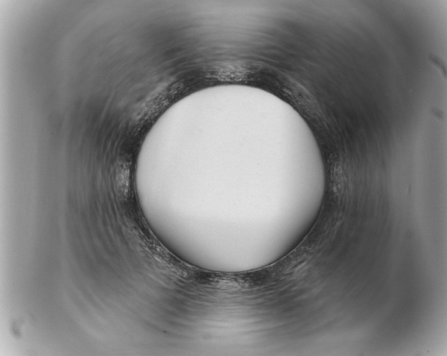 X0000102540697200808291842