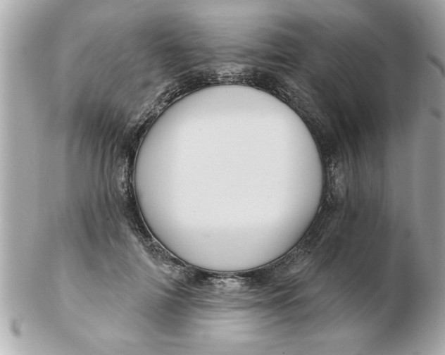 X0000102540698200808291842