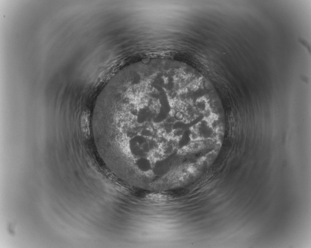 X0000102540699200808291842