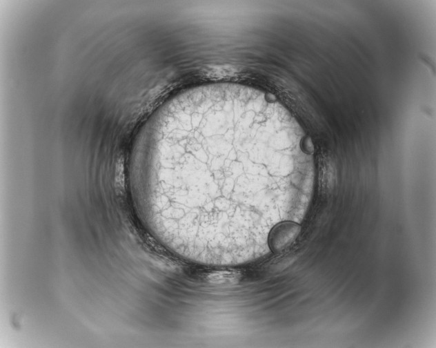 X0000102540700200808291842