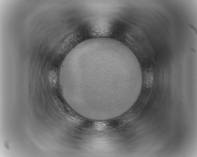 X0000102540701200808291842