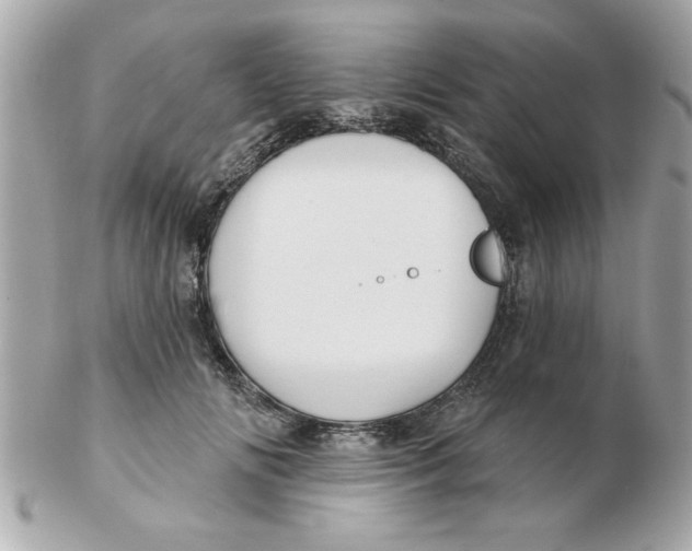 X0000102540702200808291842