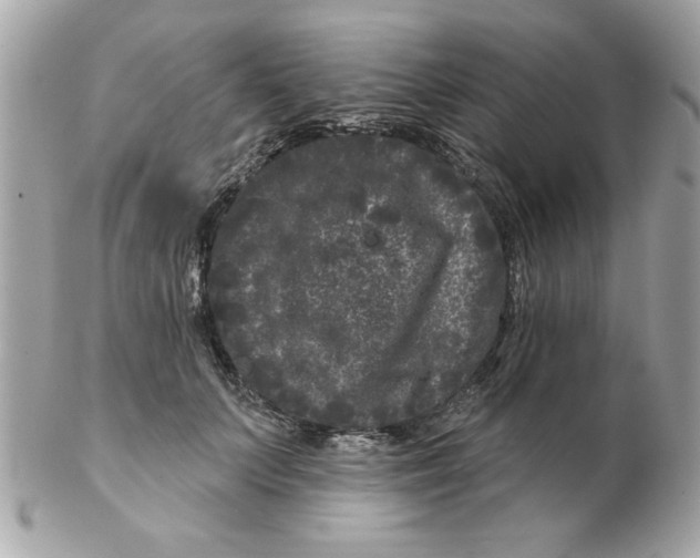 X0000102540703200808291842