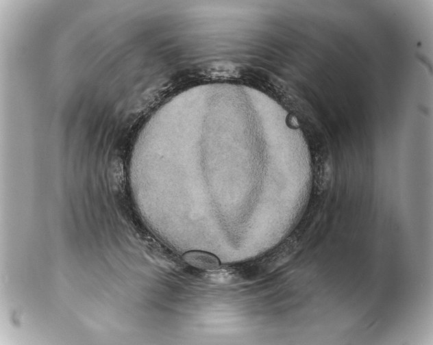 X0000102540704200808291842