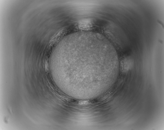 X0000102540705200808291842