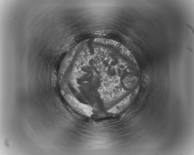 X0000102540707200808291842