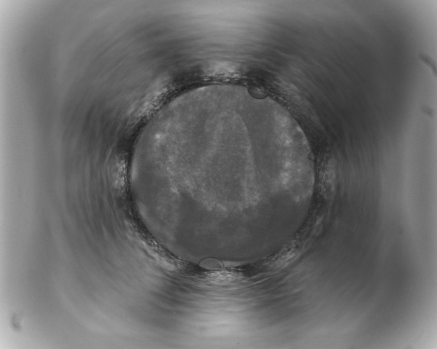 X0000102540708200808291842