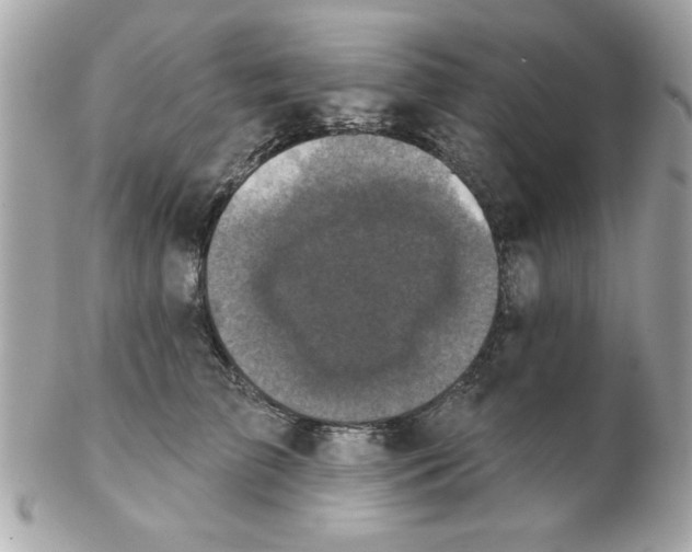 X0000102540709200808291842