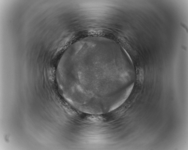 X0000102540712200808291842