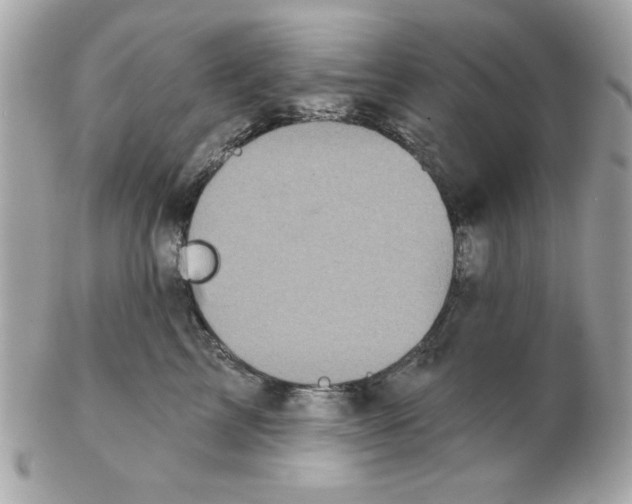 X0000102540713200808291842